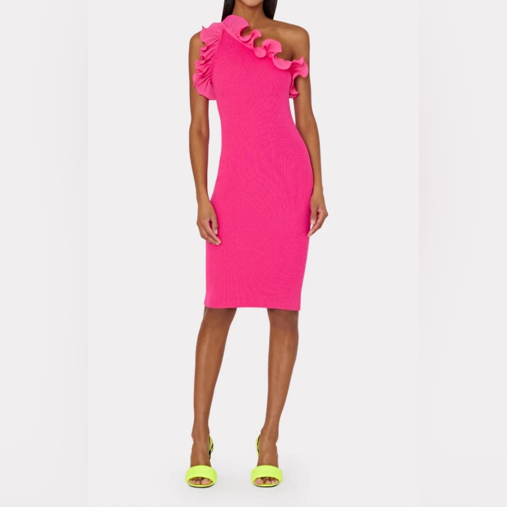 NWT Milly scallop, ruffle one shoulder dress, pink size small / p